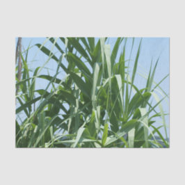 Lenço de papel feito sob encomenda