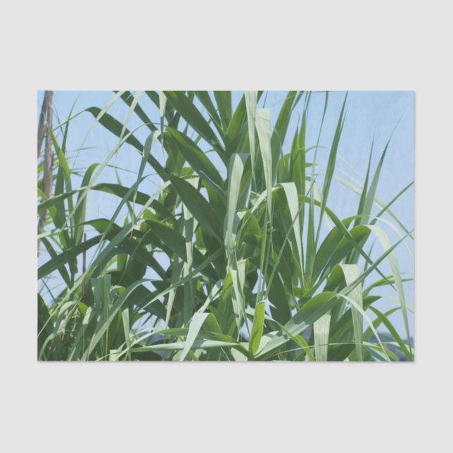 Lenço de papel feito sob encomenda (Frente )