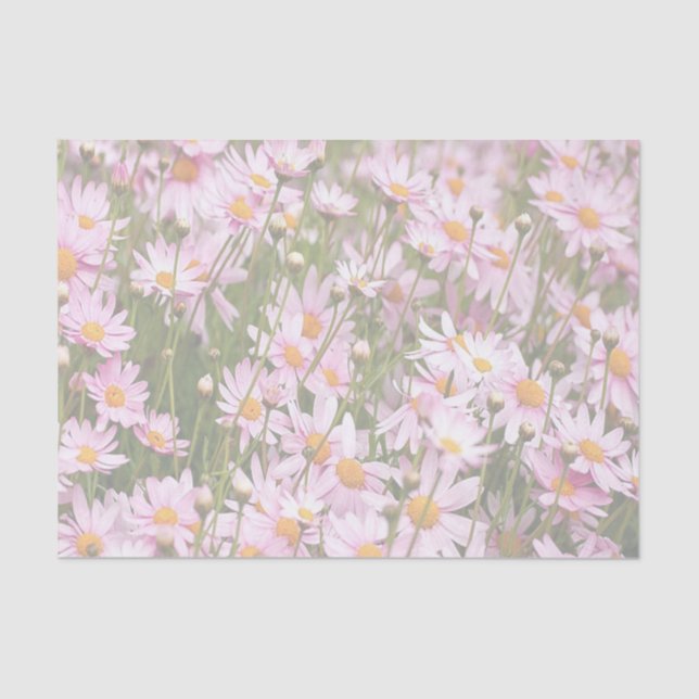 Lenço de papel feliz do lugar (Frente )