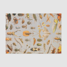 Lenço de papel MUITO LEGAL do INSETO