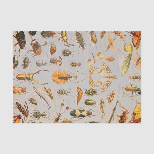 Lenço de papel MUITO LEGAL do INSETO (Frente )