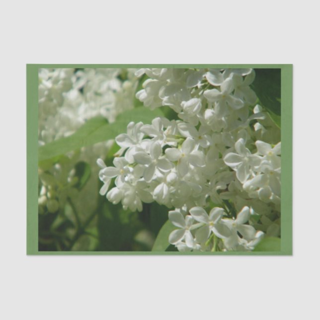 Lenço de papel para você presente especial (Frente )