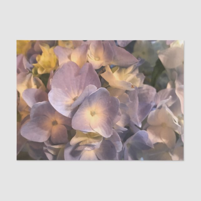 Lenço de papel roxo da flor (Frente )