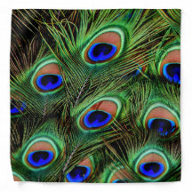 Exibição de Pavock Feather