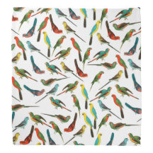 Padrão legal de coloração aquática tropical colori