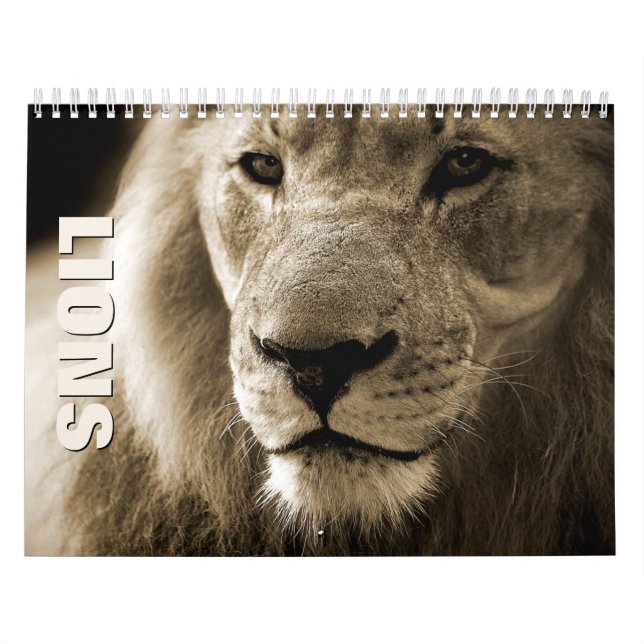Leões [1] Calendário da Parede (Capa)