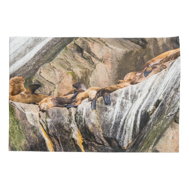 Leões Do Mar Deitados Nas Rochas (Verso)