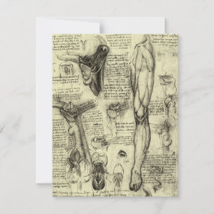 Leonardo da Vinci Antiga Anatomia Humana Laringe P