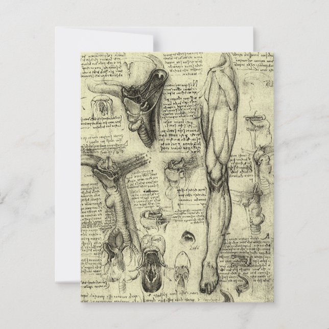Leonardo da Vinci Vintage Anatomia Humana Laringe  (Frente)