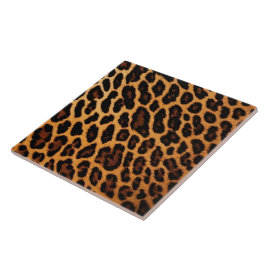 Leopard Cat Animal Print Moderna Collection