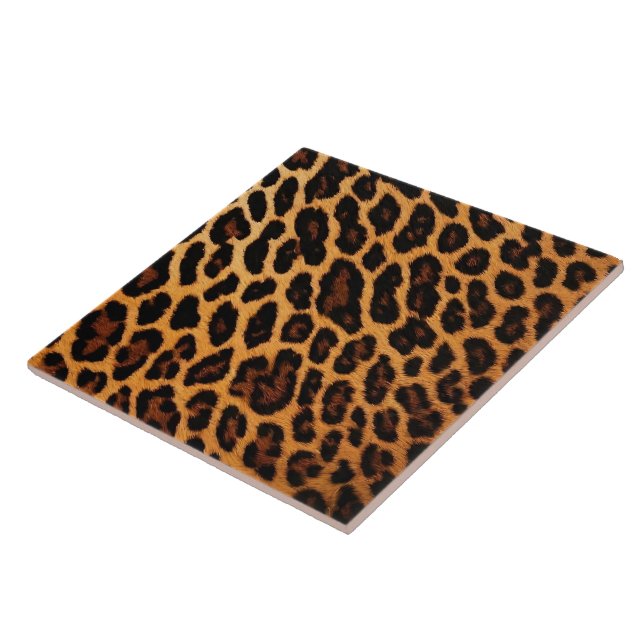 Leopard Cat Animal Print Moderna Collection (Lateral)