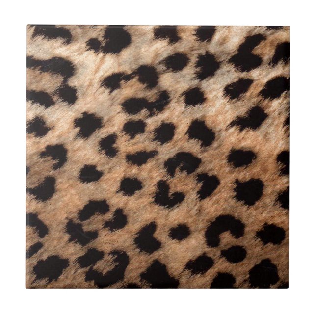 Leopard Cheetah Animal Imprime Girly Modern Trendy (Frente)