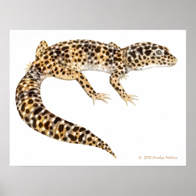 Leopard Gecko Art Impressão (Frente)