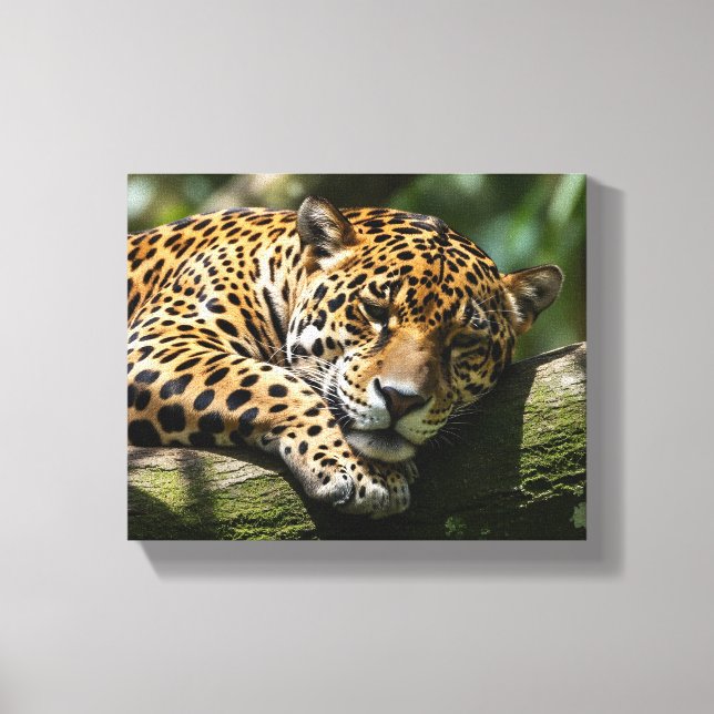 leopard sleeping canvas wall art (Frente)