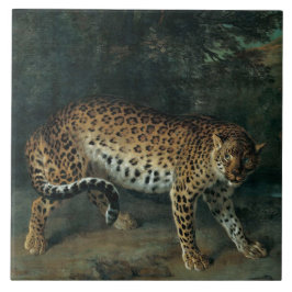 Leoparda (Leopardo Fêmea) (Jean-Baptiste Oudry)