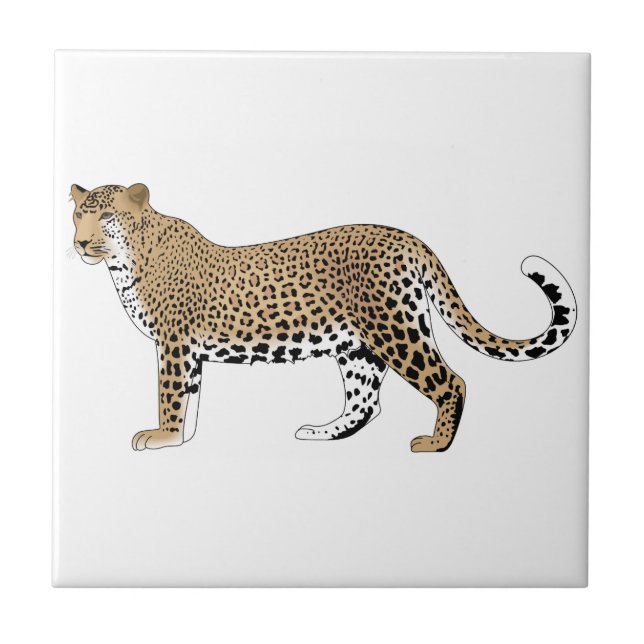 Leopardo (Frente)