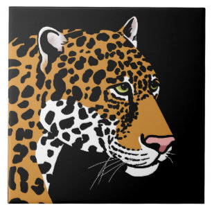 Leopardo