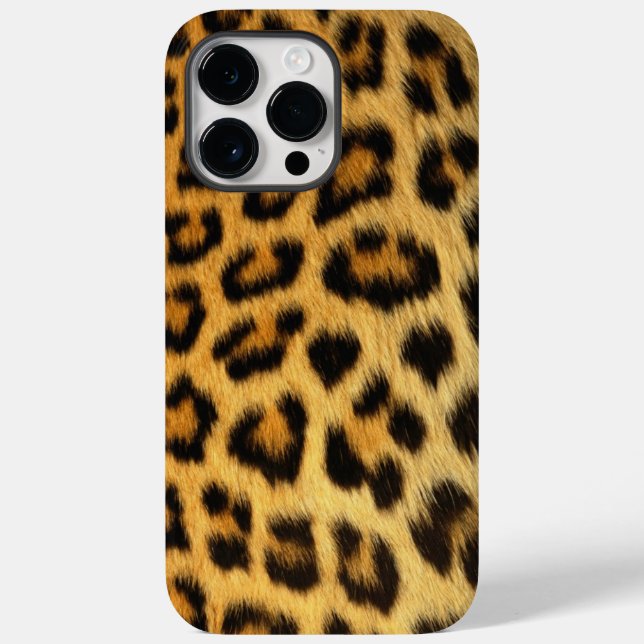 Leopardo (Verso)