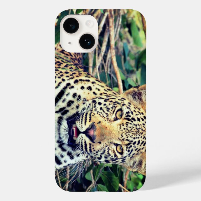 Leopardo, animal (Verso)
