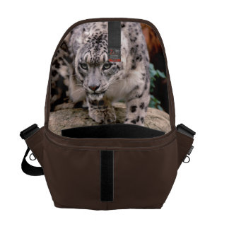 Leopardo de neve da bolsa mensageiro