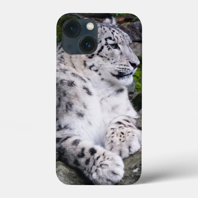 Leopardo de Neve Refrigerado (Verso)