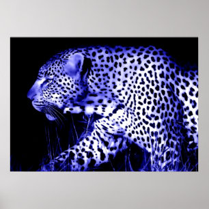 Leopardo em animais selvagens da Poster de arte az