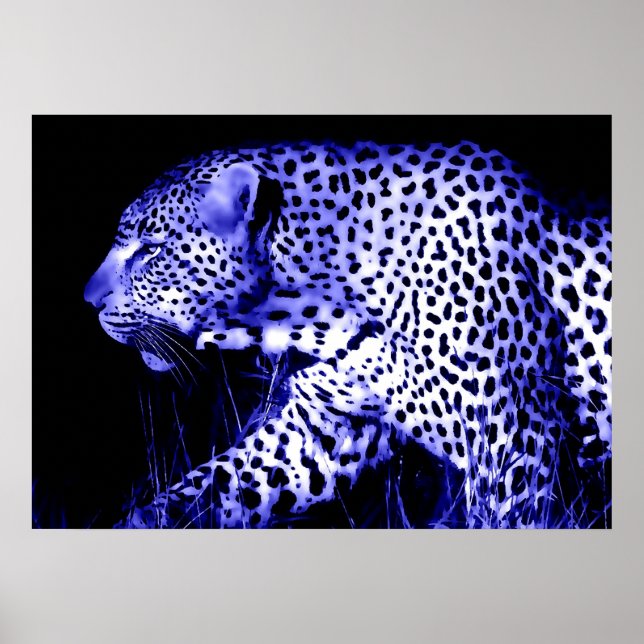Leopardo em animais selvagens da Poster de arte az (Frente)