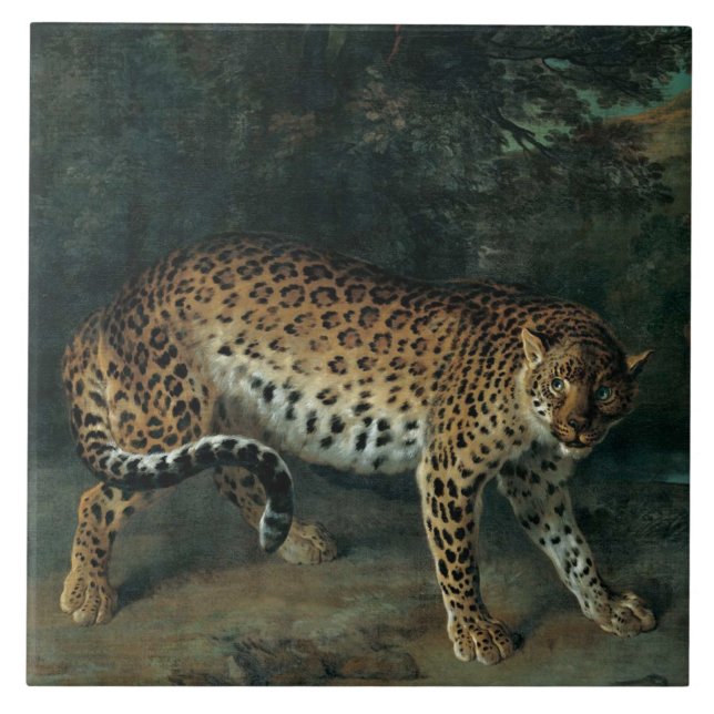 Leopardo (Leopardo feminino) (Jean-Baptiste Oudry) (Frente)
