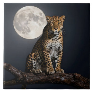 Leopardo Majestoso e Lua Cheia