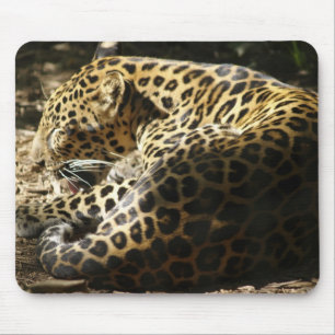 Leopardo Mousepad