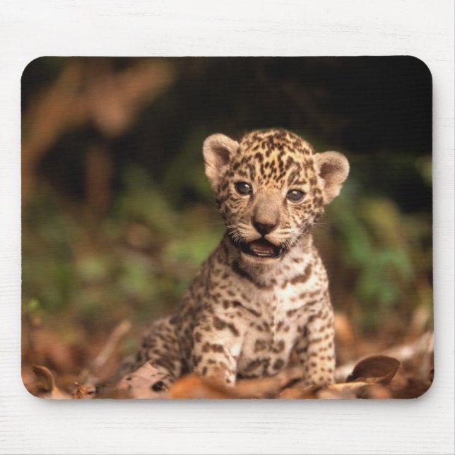 Leopardo Mousepad do bebê (Frente)