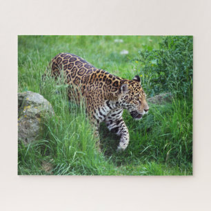 Leopardo na Quebra-cabeça