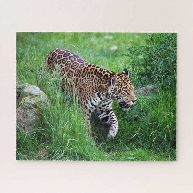 Leopardo na Quebra-cabeça (Horizontal)