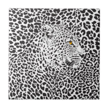 Leopardo Negro Em Manchas