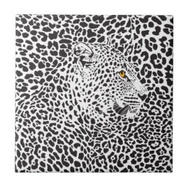 Leopardo Negro Em Manchas
