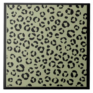 Leopardo Sábio