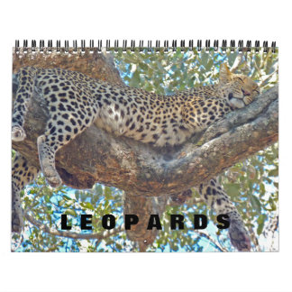 LEOPARDOS - CALENDÁRIO COMPLETO DE LEOPARDOS