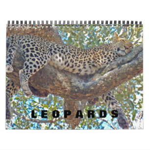LEOPARDS - TODO O CALENDÁRIO LEOPARD