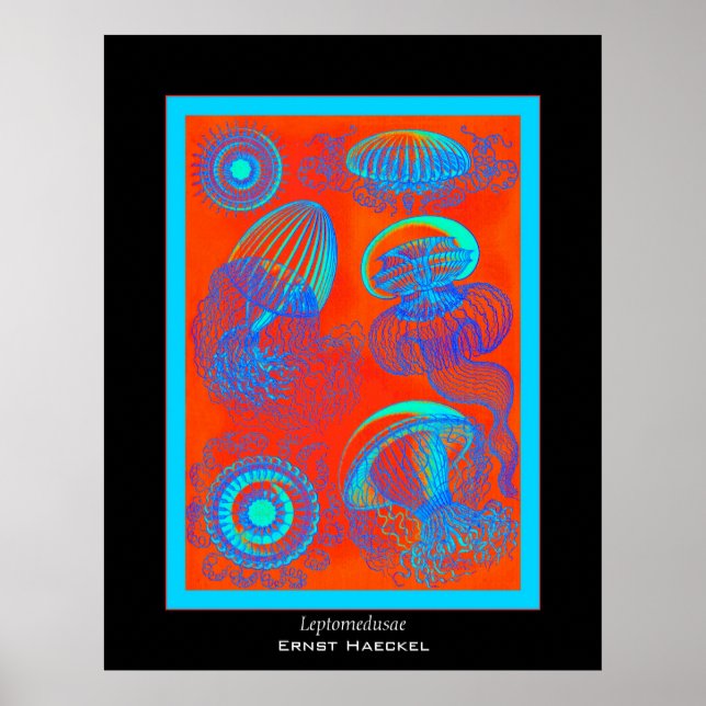 Leptomedusa ~ Ernst Haeckel Impressão (Frente)