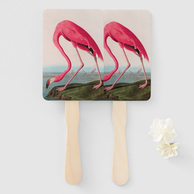 Leque American Flamingo Birds of America Audubon Impress (Frente e Verso)