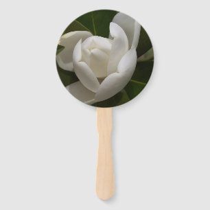 Leque botão de flor da magnólia meridional branca