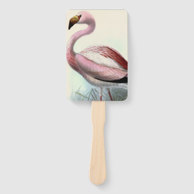 Leque Flamingo Antigo (Frente)