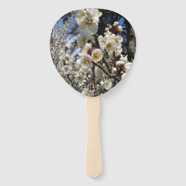 Leque Flor branco de cereja / Sakura / ク サ(桜) (Frente)