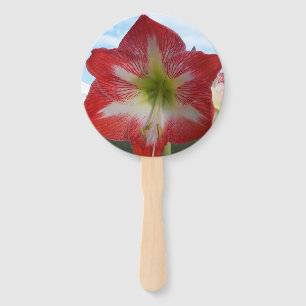 Leque Flor de Amaryllis vermelha e branca contra o céu