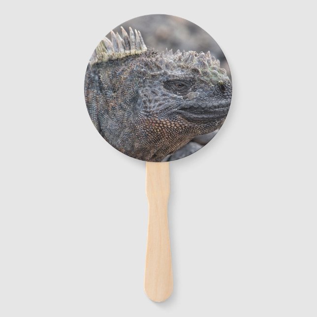 Leque Marine Iguana (Frente)