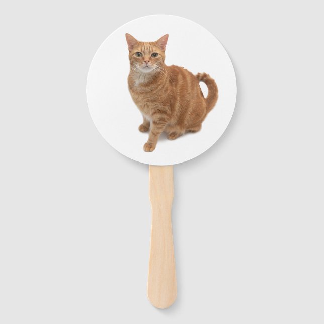 Leque Orange Cat (Frente)