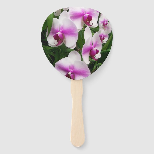 Leque Orquídeas brancas únicas com pincel rosa sobre um  (Frente)