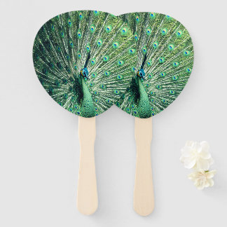 Leque Peacock Strut