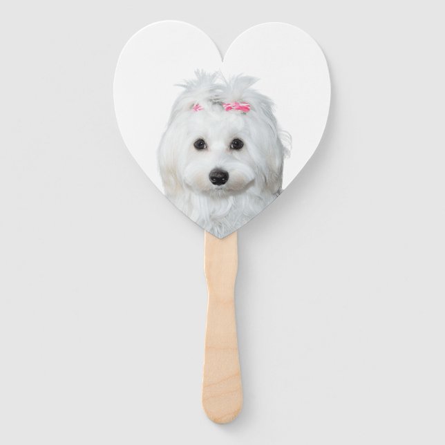 Leque Rótulo branco maltês de doce (Frente)