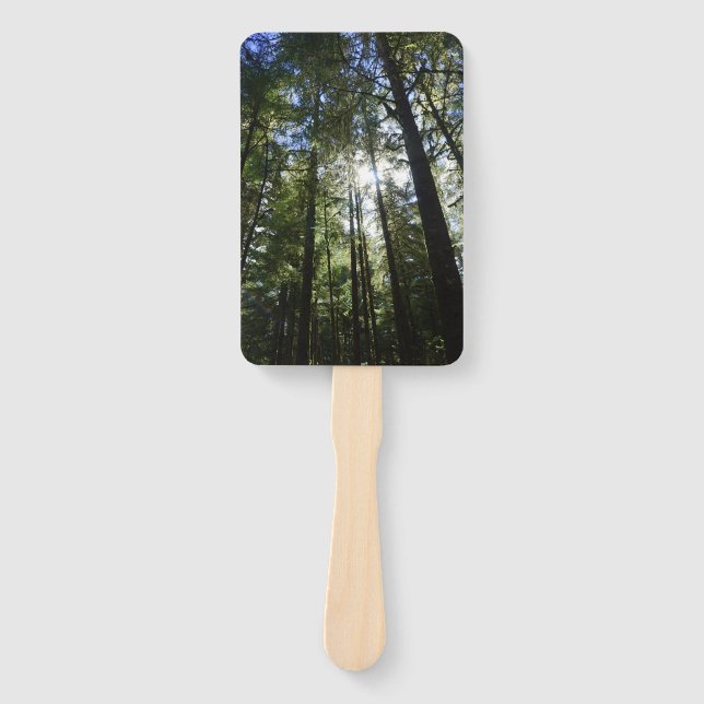 Leque Sunlight Through Pine Trees (Frente)